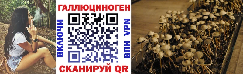 Галлюциногенные грибы мицелий  гидра ССЫЛКА  Сенгилей 