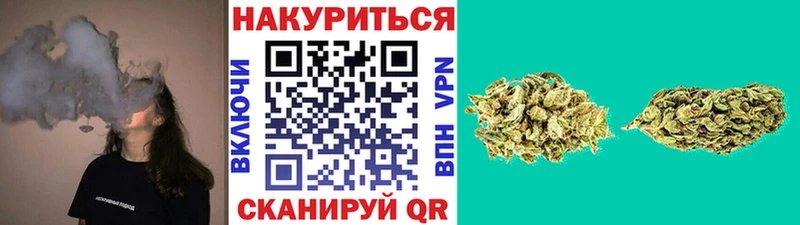 Бошки Шишки OG Kush Сенгилей